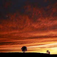 Buy canvas prints of Cotswold Sunset by Simon Johnson