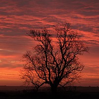 Buy canvas prints of uCotswold sunrisenknown by Simon Johnson