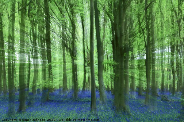 Bluebell Woodlanf creative image Picture Board by Simon Johnson