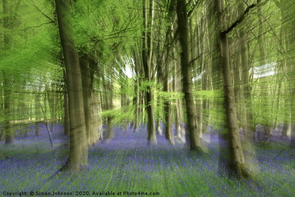  Impressionist image of Bluebell woodland Picture Board by Simon Johnson