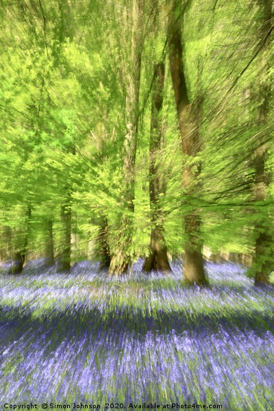 Bluebell Woodland Impressionist image Picture Board by Simon Johnson