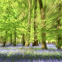 Buy canvas prints of Bluebell Woodland Impressionist image by Simon Johnson