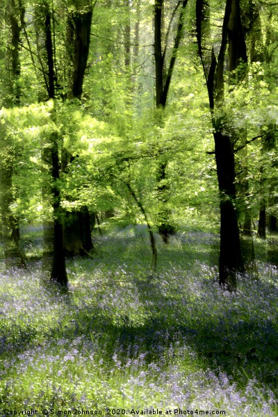 Impressionist image of bluebell Woodland Picture Board by Simon Johnson