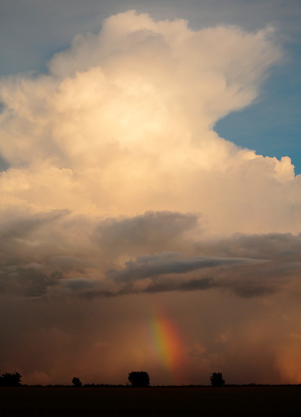 Cumulus storm cloud and rainbow Picture Board by Simon Johnson