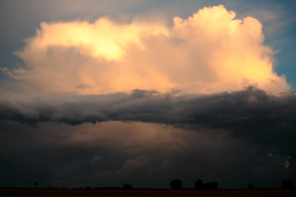 Sunlit cumulus cloud Picture Board by Simon Johnson