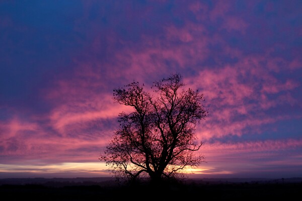 Cotswold dawn Picture Board by Simon Johnson