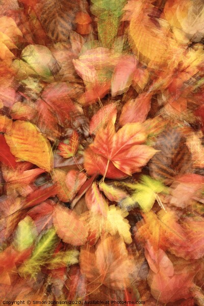 AZutumn leaf collage Picture Board by Simon Johnson