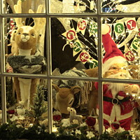 Buy canvas prints of Christmas shop window by Simon Johnson