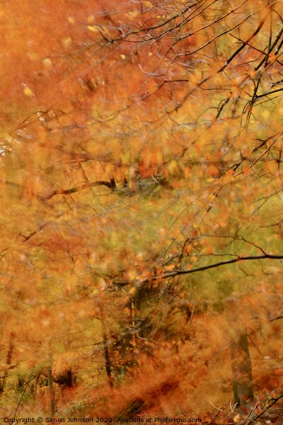 Impressionist image of Broadway Woods Picture Board by Simon Johnson