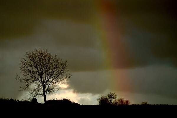 Cotswold rainbow Picture Board by Simon Johnson