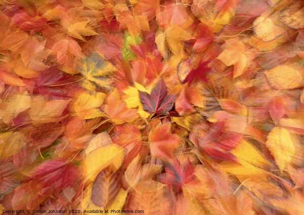 Autumn collage Picture Board by Simon Johnson