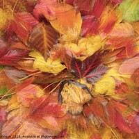 Buy canvas prints of Autumn Leaf Collage by Simon Johnson