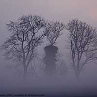 Buy canvas prints of Trees in the mist by Simon Johnson