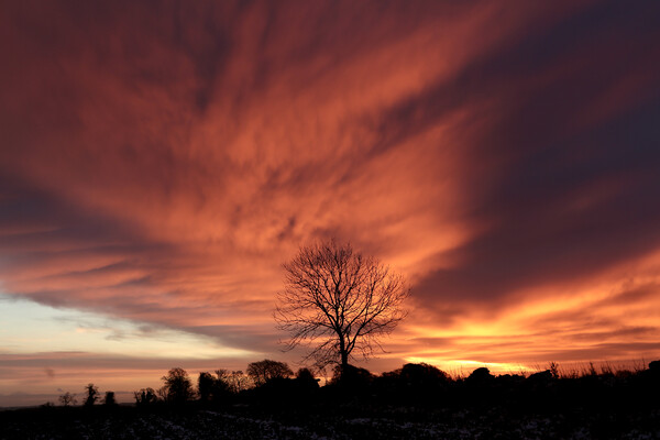 Dramatic  Cotswold sunrise Picture Board by Simon Johnson