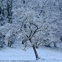 Buy canvas prints of winter wonderland by Simon Johnson