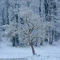Buy canvas prints of wintrer snow  by Simon Johnson