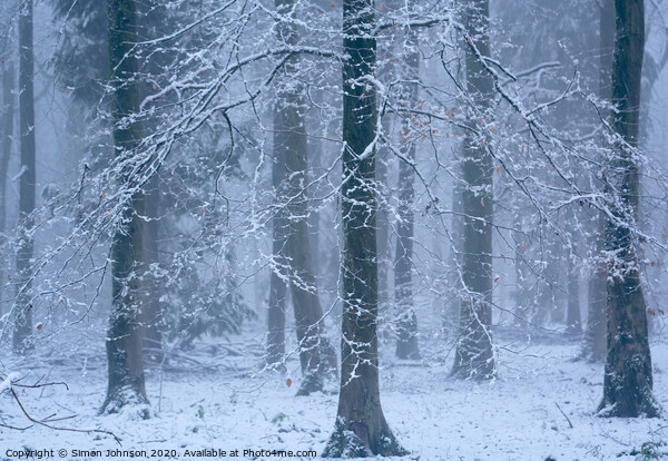Woodland snowscape Picture Board by Simon Johnson