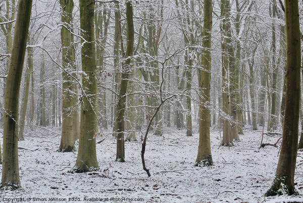 Woodland winter Picture Board by Simon Johnson