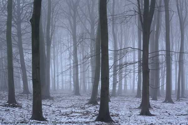Winter Woodland mist Picture Board by Simon Johnson