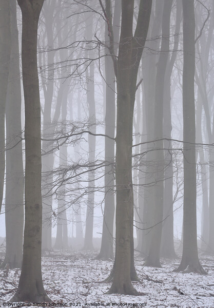 woodland mist Picture Board by Simon Johnson
