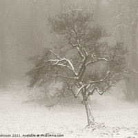 Buy canvas prints of Winter morning by Simon Johnson