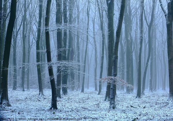 Winter wood, snow and fog Picture Board by Simon Johnson