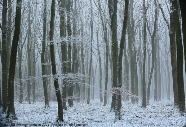 Frosted woodland Picture Board by Simon Johnson