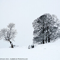 Buy canvas prints of Trees in snow by Simon Johnson