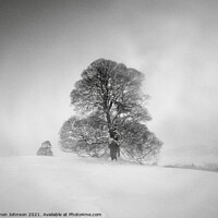 Buy canvas prints of Winter trees and mist by Simon Johnson