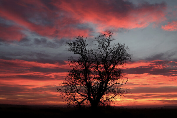 sunrise sky Picture Board by Simon Johnson