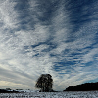 Buy canvas prints of Trees clouds and sky by Simon Johnson