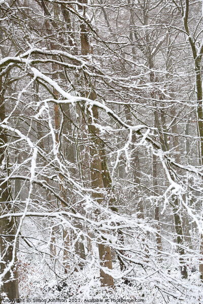woodland winter blizzard Picture Board by Simon Johnson
