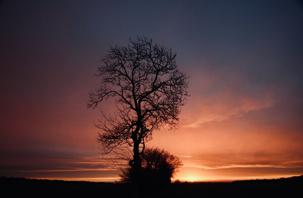sunrise Picture Board by Simon Johnson