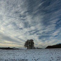 Buy canvas prints of winter sky by Simon Johnson