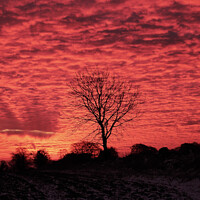 Buy canvas prints of Dramatic sunrise by Simon Johnson