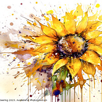Buy canvas prints of Comb Flower by Robert Deering