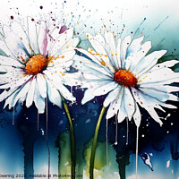 Buy canvas prints of Daisy Daisy by Robert Deering
