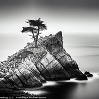 Buy canvas prints of Lonesome Cypress Tree Monterey by Robert Deering