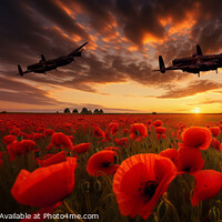 Buy canvas prints of Warplanes Over Poppies, Sunset by Robert Deering