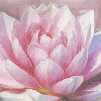 Buy canvas prints of Pretty In Pink by Robert Deering