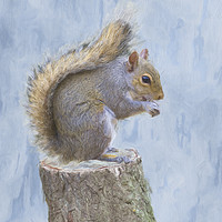 Buy canvas prints of Grey squirrel on tree stump by Robert Deering