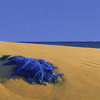 Buy canvas prints of Discarded Fishing Net Dungeness Beach by Robert Deering