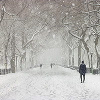 Buy canvas prints of Winter Wonderland by Robert Deering