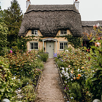 Buy canvas prints of Rose Cottage by Stacy Cartledge