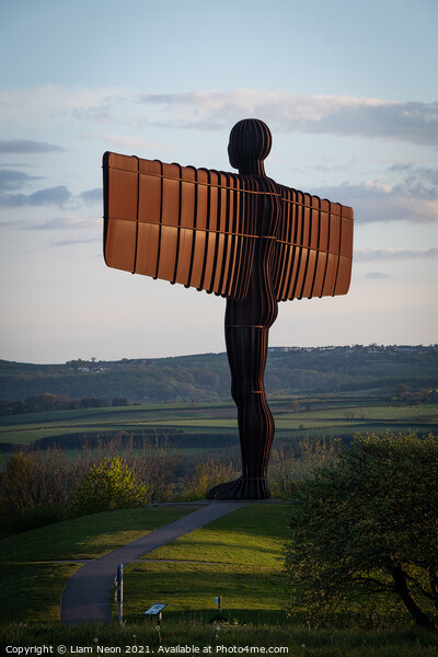 Golden Wings, Angel of the North Picture Board by Liam Neon