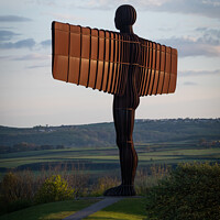 Buy canvas prints of Golden Wings, Angel of the North by Liam Neon