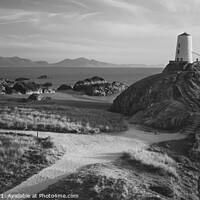 Buy canvas prints of The Path to Tŵr Mawr Monochrome by Liam Neon