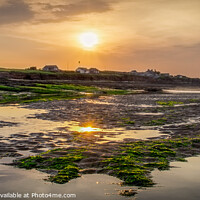 Buy canvas prints of Green and Gold of Hilbre Island by Liam Neon