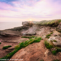 Buy canvas prints of Thrift on the Rocks at Hilbre Island by Liam Neon