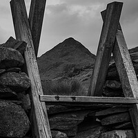 Buy canvas prints of Heading up Cnicht by Liam Neon